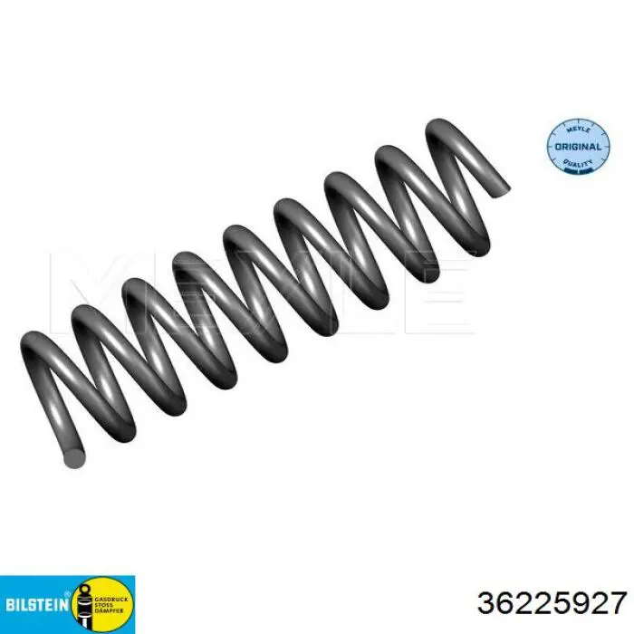 Compre 36225927 Bilstein Mola traseira