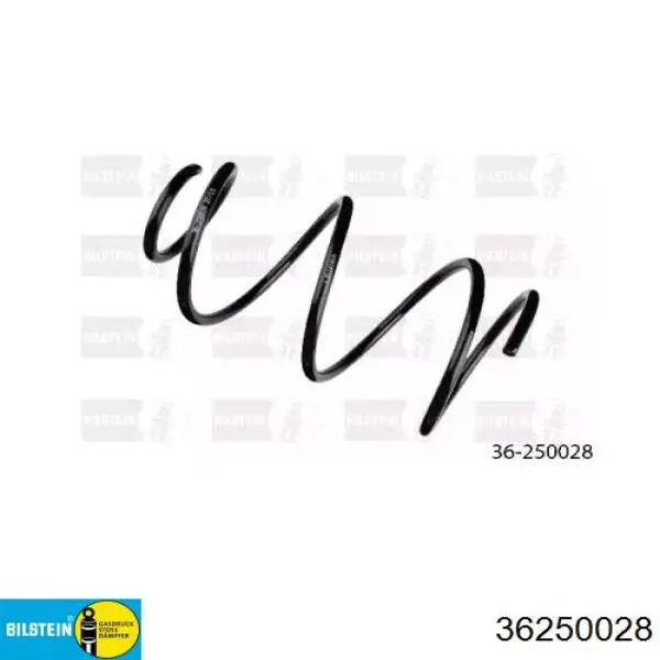 36250028 Bilstein Mola dianteira