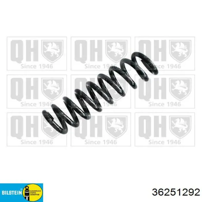 Mola traseira 33536851930 BMW
