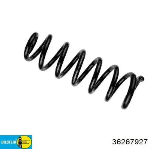 36267927 Bilstein Mola traseira