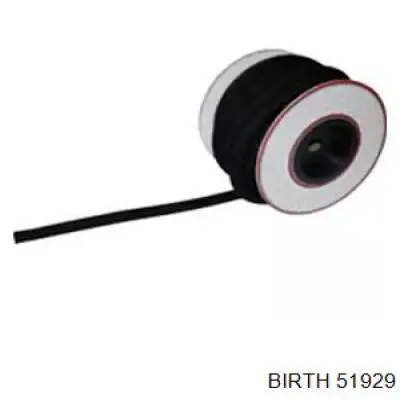 904010 Cautex 