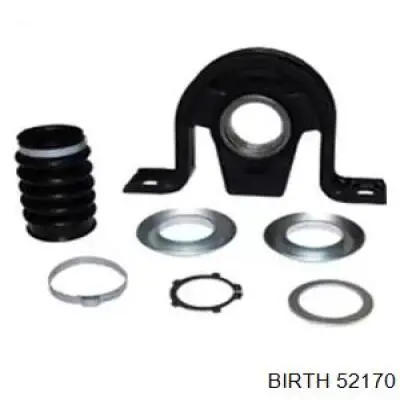 52170 Birth Rolamento suspenso da junta universal