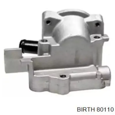 80110 Birth Caixa do termostato