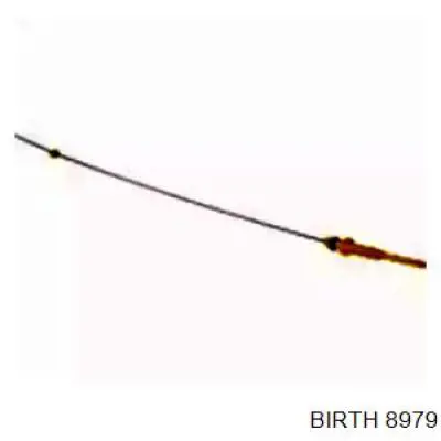 Compre 8979 Birth Sonda (indicador) do nível de óleo no motor