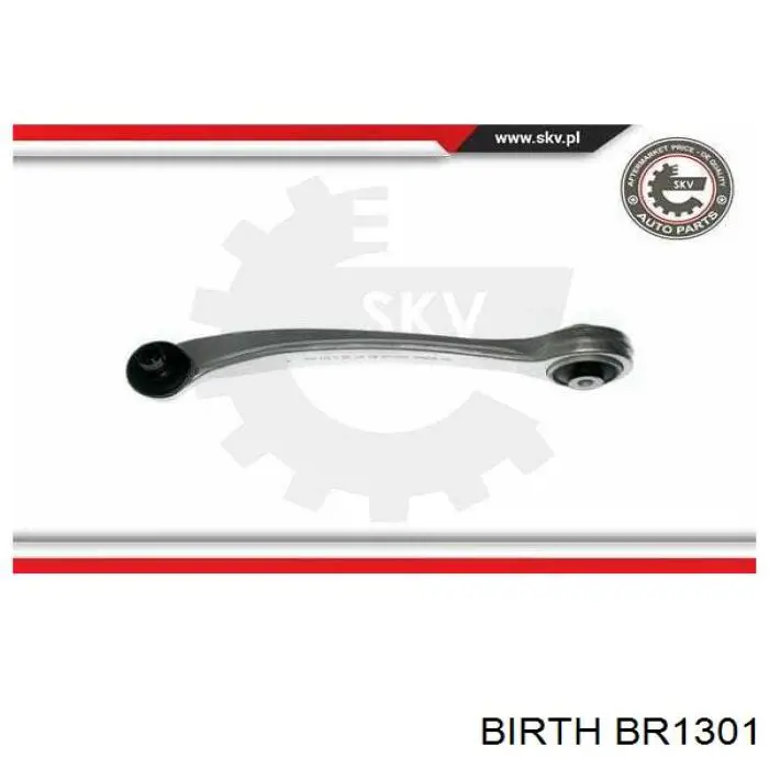 Compre BR1301 Birth Braço oscilante superior direito de suspensão dianteira