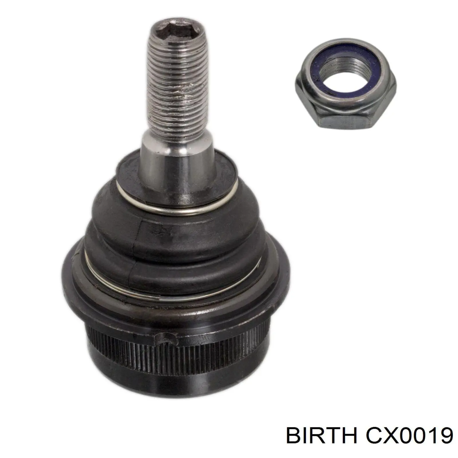 Compre CX0019 Birth Suporte de esfera superior