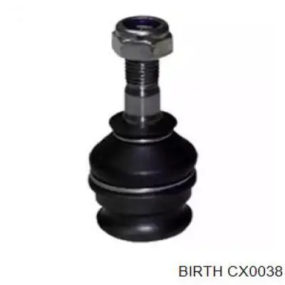 CX0038 Birth Suporte de esfera inferior