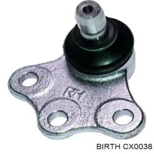 Compre CX0038 Birth Suporte de esfera inferior