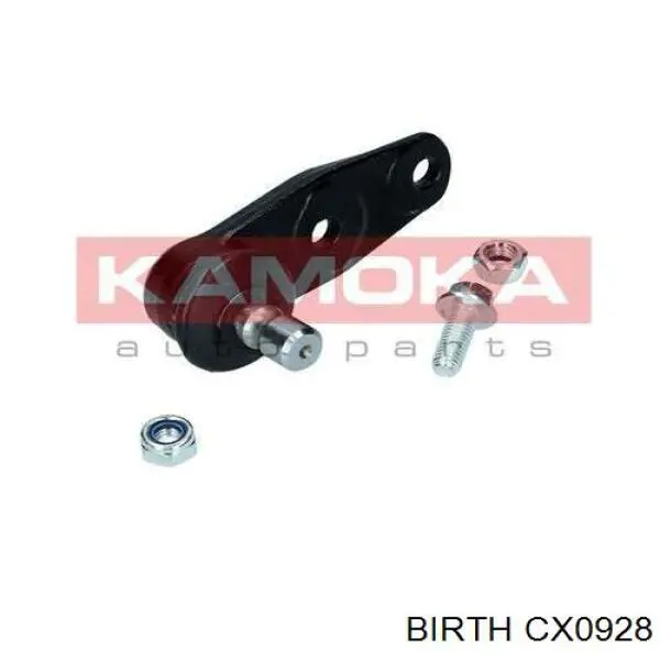 Compre CX0928 Birth Suporte de esfera inferior