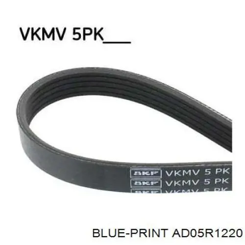 Compre AD05R1220 Blue Print Correia dos conjuntos de transmissão