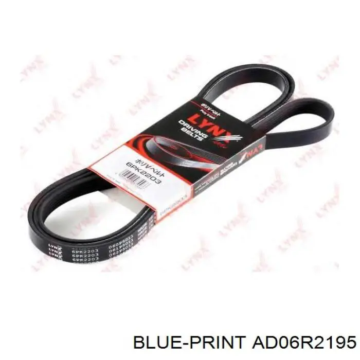 Correia dos conjuntos de transmissão Blue Print AD06R2195 preço, a partir de 25,57 USD