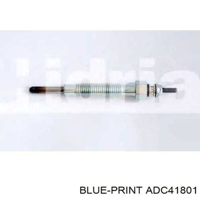 Compre ADC41801 Blue Print Vela de incandescência