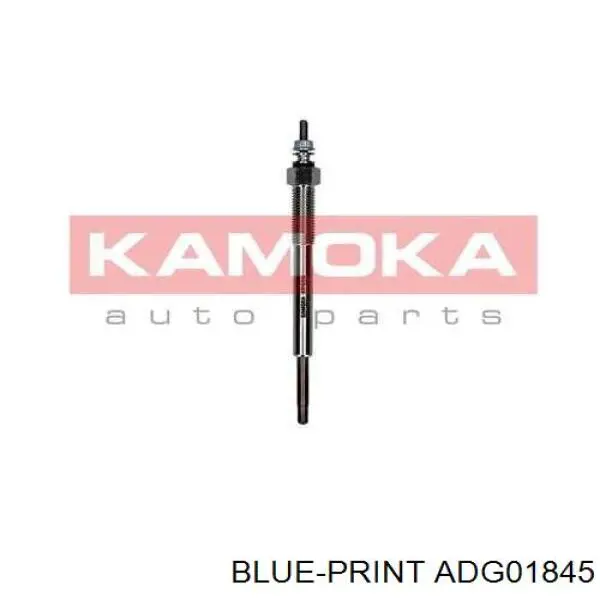 Compre ADG01845 Blue Print Vela de incandescência