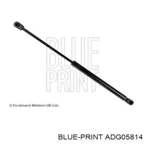 Compre ADG05814 Blue Print Amortecedor da capota