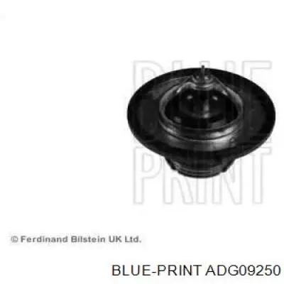 Termostato 255002A100 Inzi