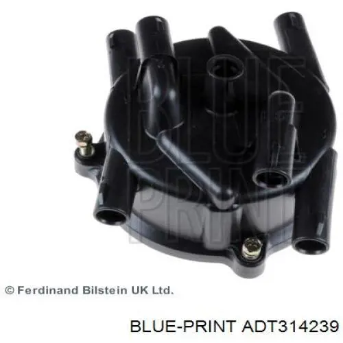 Compre ADT314239 Blue Print Tampa de distribuidor de ignição (distribuidor)