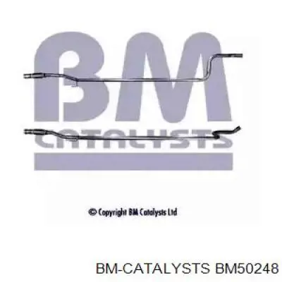 Compre BM50248 BM Catalysts Silenciador, parte central