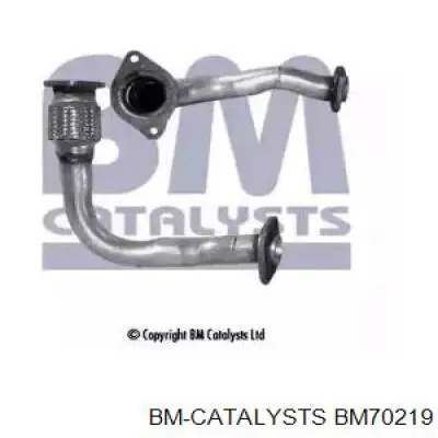 Compre BM70219 BM Catalysts Tubo de admissão dianteiro (calças) do silenciador
