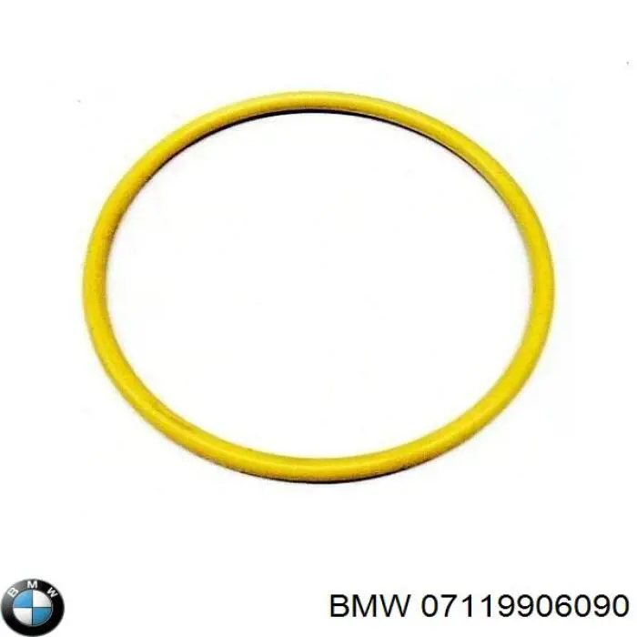 07119906090 BMW Vedante de bomba de vácuo
