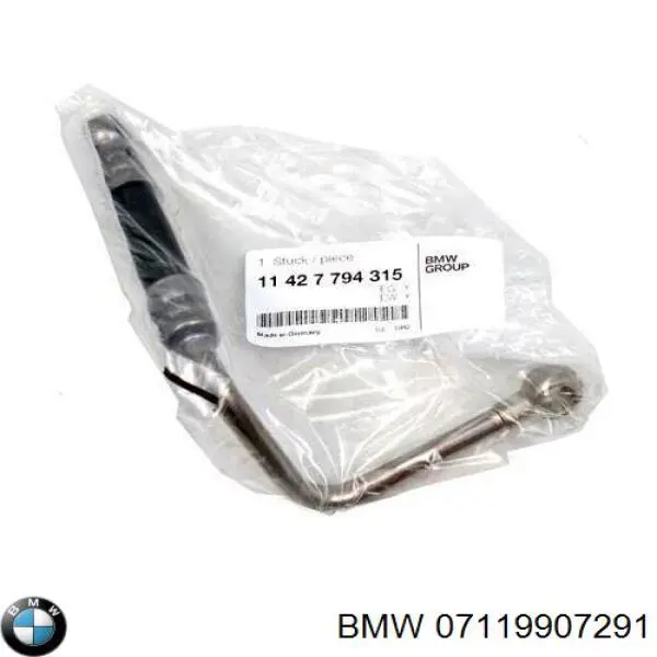 7119907291 BMW Parafuso