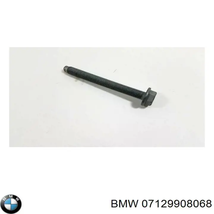 07129908068 BMW Parafuso de fixação de braço oscilante dianteiro, inferior