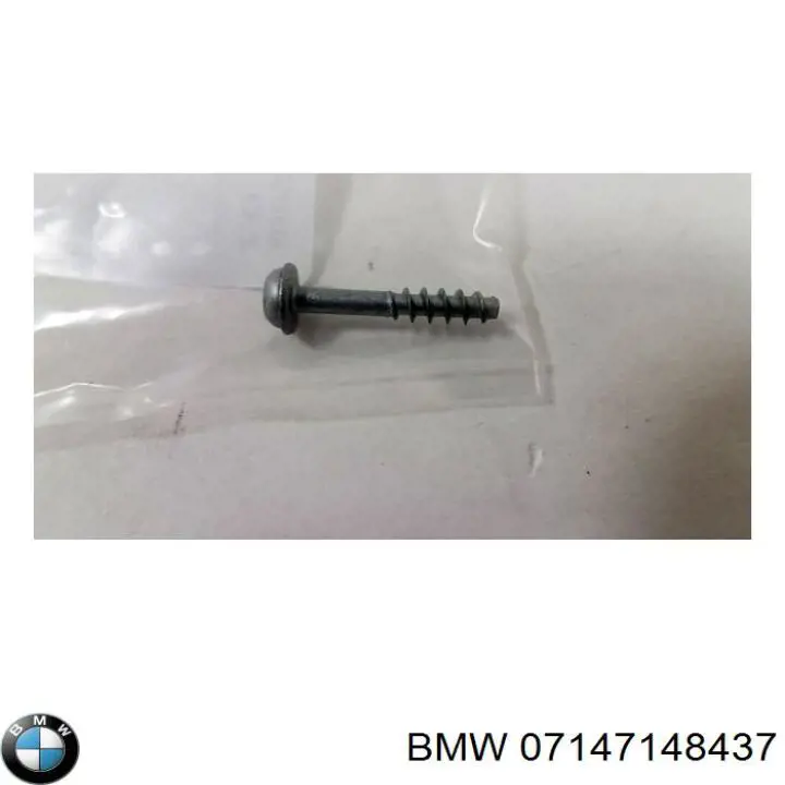 Compre 07147148437 BMW 