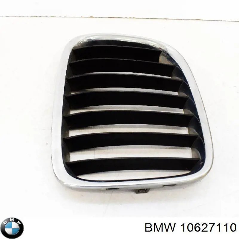 Grelha do radiador 10627110 BMW