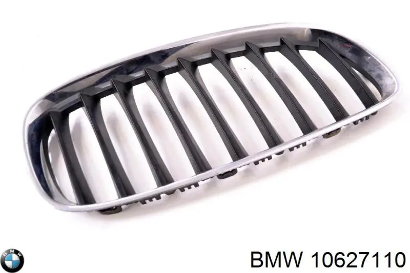 Grelha do radiador 10627110 BMW