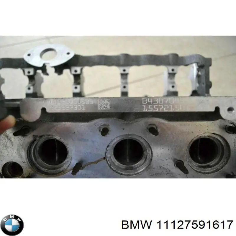 Compre 11127548920 BMW Cabeça de motor (CBC)
