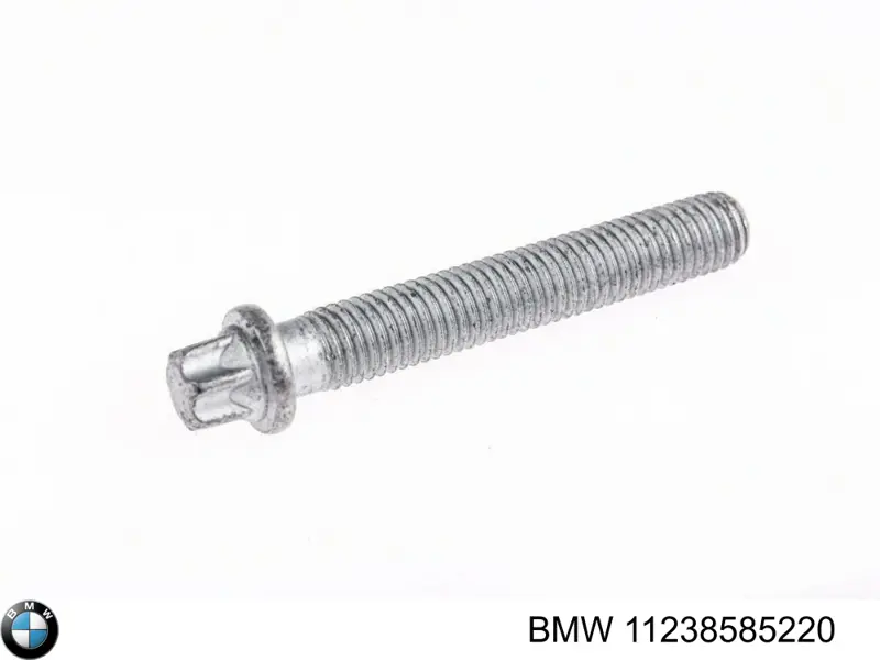 11238585220 BMW Parafuso da polia de cambota