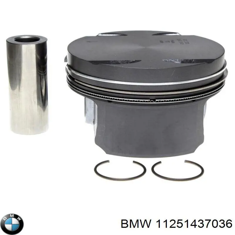 Pistão do kit para 1 cilindro, STD Mahle Original 0830800 preço, a partir de 143,02 USD