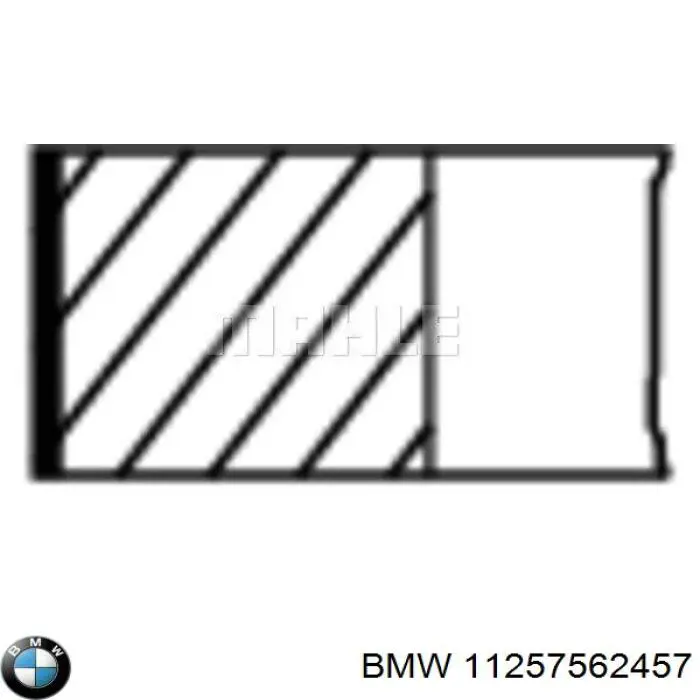 Compre 11257562457 BMW Anéis do pistão para 1 cilindro, STD.