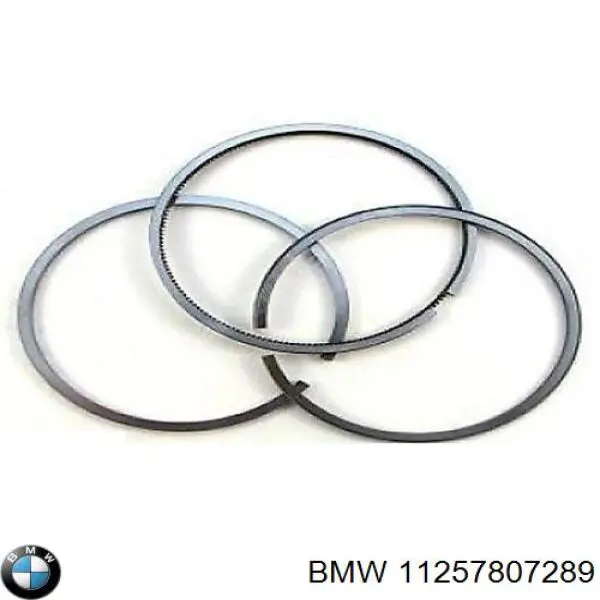 Compre 11257807289 BMW Anéis do pistão para 1 cilindro, STD.