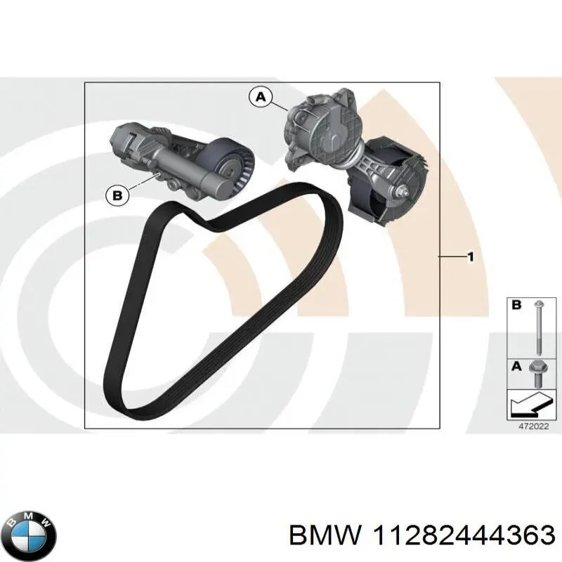 11282444363 BMW Correia dos conjuntos de transmissão, kit
