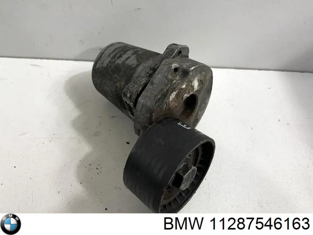 Compre RNKBM065 NTY Rolo de reguladora de tensão da correia de transmissão