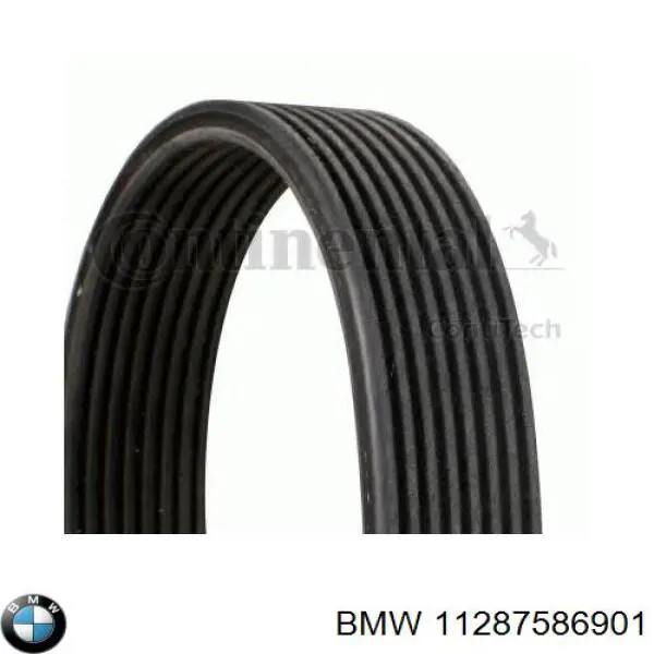 Correia dos conjuntos de transmissão 11287586901 BMW