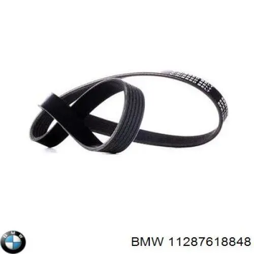 Compre 11287618848 BMW Correia dos conjuntos de transmissão