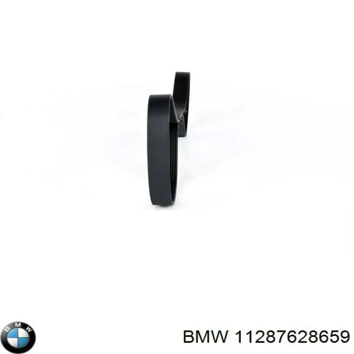 Compre 11287628659 BMW Correia dos conjuntos de transmissão