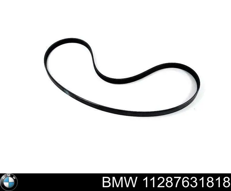 11287631818 BMW Correia dos conjuntos de transmissão