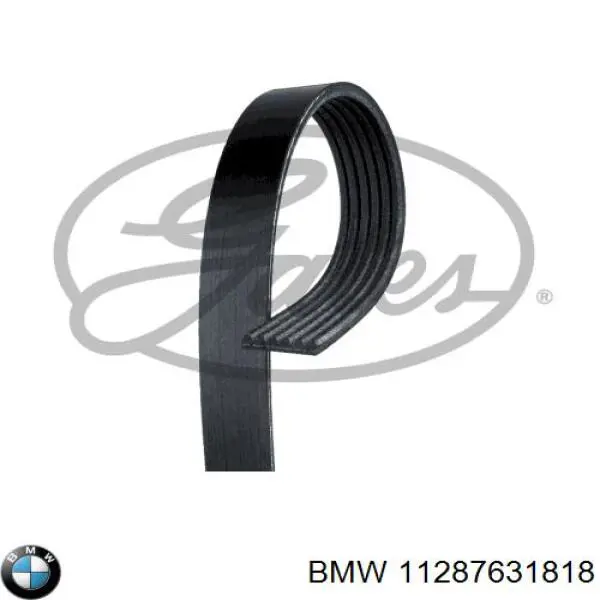 Correia dos conjuntos de transmissão BMW 11287631818 preço, a partir de 23,15 USD
