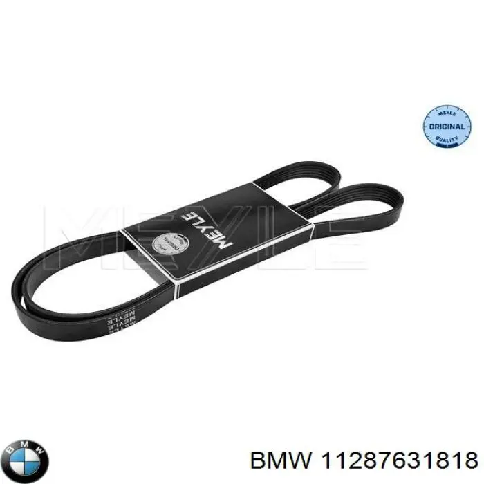 Compre 11287631818 BMW Correia dos conjuntos de transmissão