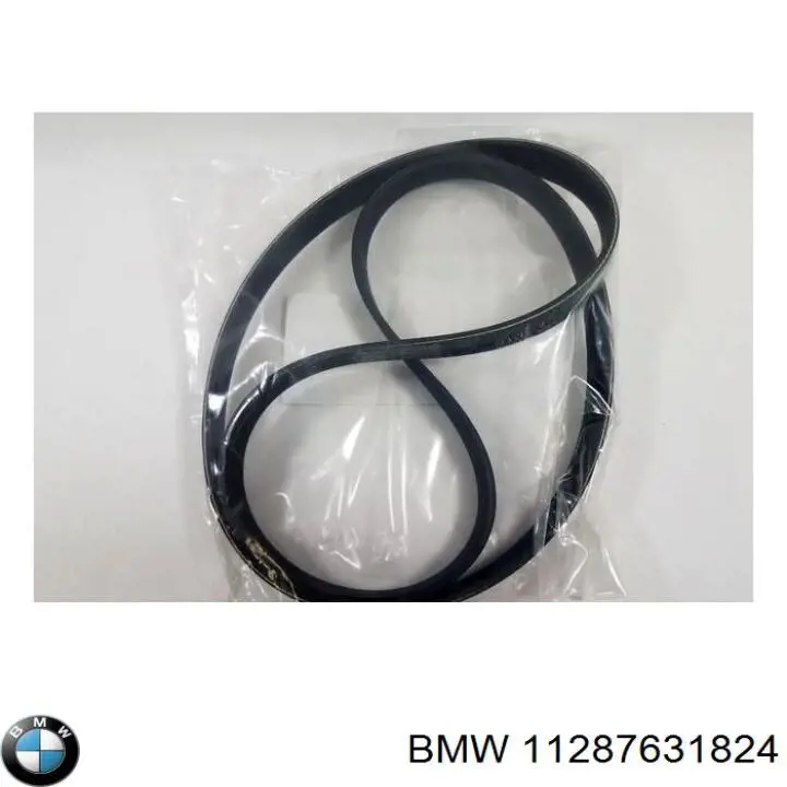 11287631824 BMW Correia dos conjuntos de transmissão