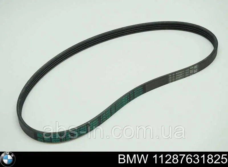 11287631825 BMW Correia dos conjuntos de transmissão