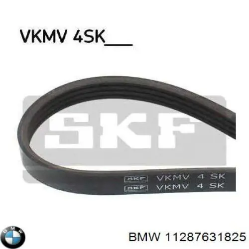 Compre 11287631825 BMW Correia dos conjuntos de transmissão