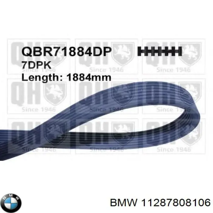 11287808106 BMW Correia dos conjuntos de transmissão