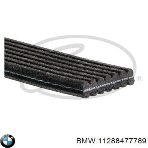 11288477789 BMW Correia dos conjuntos de transmissão