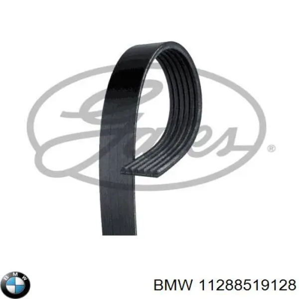 Compre 11288519128 BMW Correia dos conjuntos de transmissão