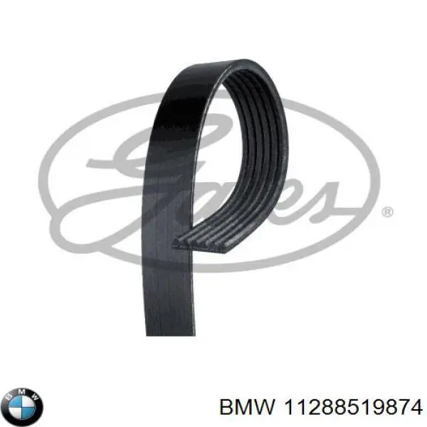 11288519874 BMW Correia dos conjuntos de transmissão