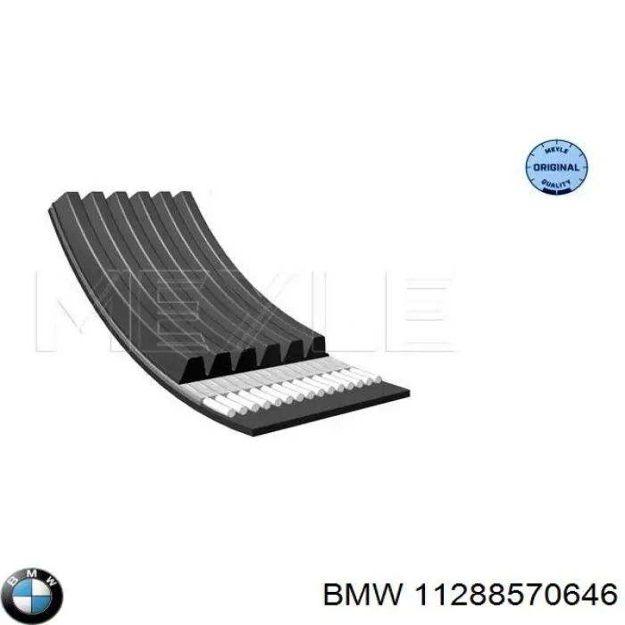 Correia dos conjuntos de transmissão BMW 11288570646 preço, a partir de 38,17 USD