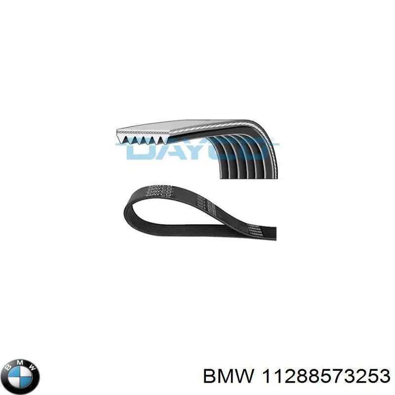 Compre 11288573253 BMW Correia dos conjuntos de transmissão